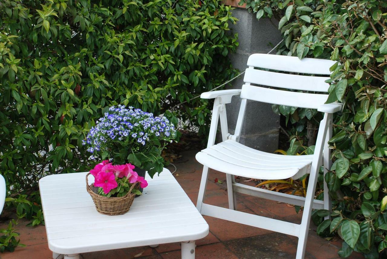 Casa ai Pini Apartment Panzano in Chianti Bagian luar foto