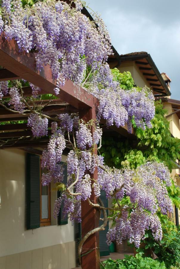 Casa ai Pini Apartment Panzano in Chianti Bagian luar foto