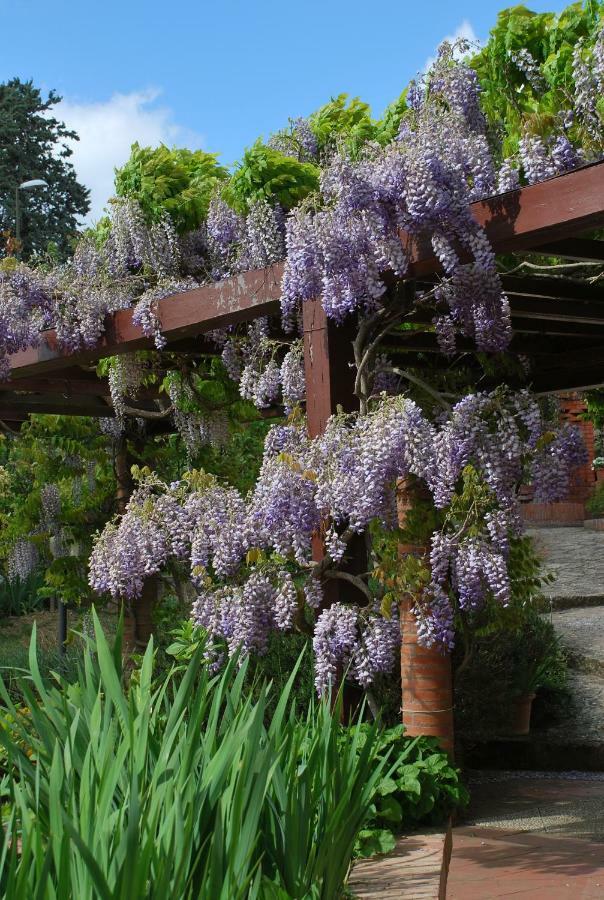 Casa ai Pini Apartment Panzano in Chianti Bagian luar foto