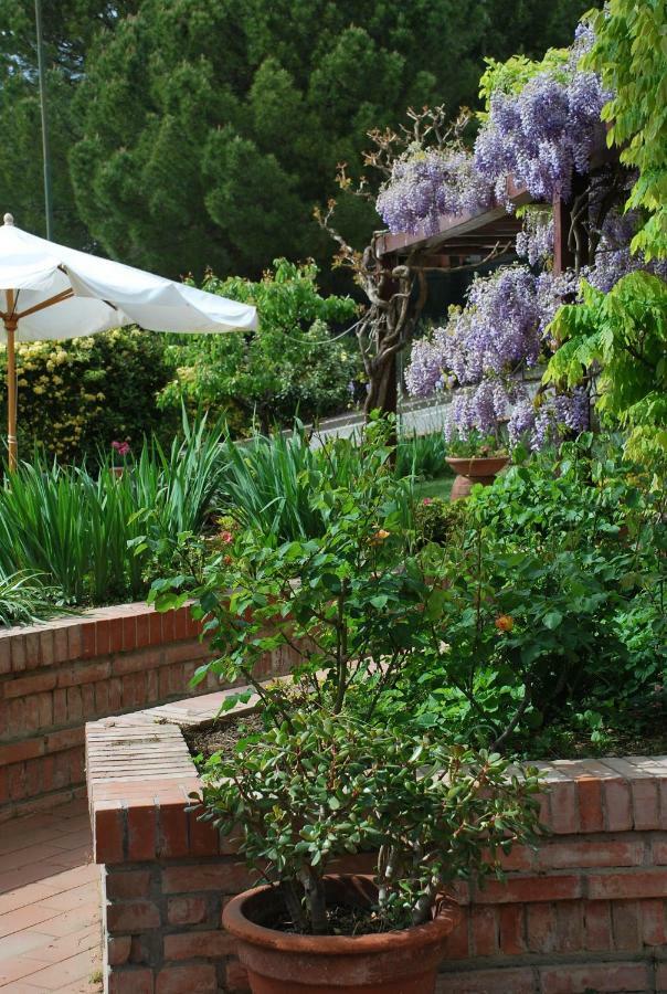 Casa ai Pini Apartment Panzano in Chianti Bagian luar foto